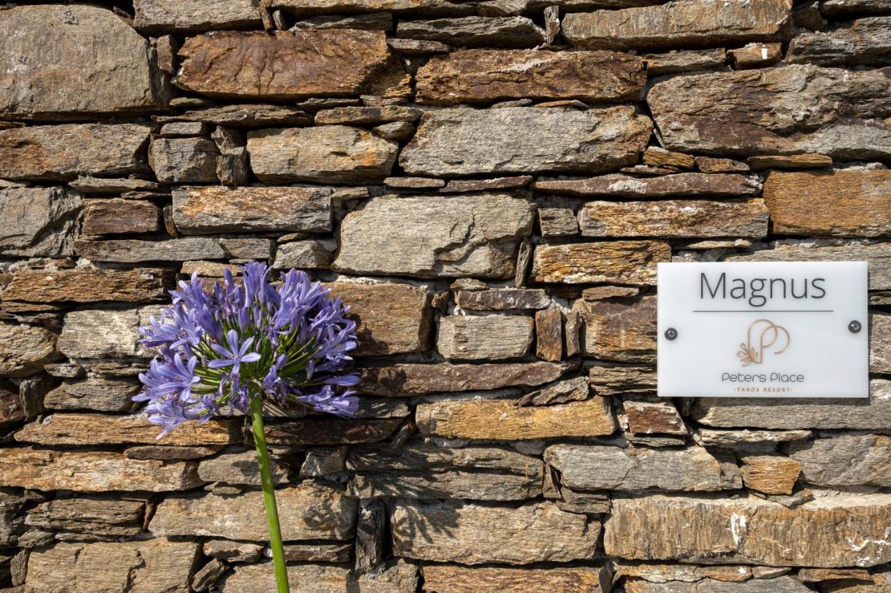 Peters Place - Paros Resort Parasporos Екстериор снимка